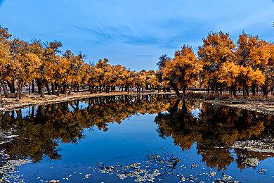 有救了！ 《丝之歌》营销负责人称将修改中文翻译